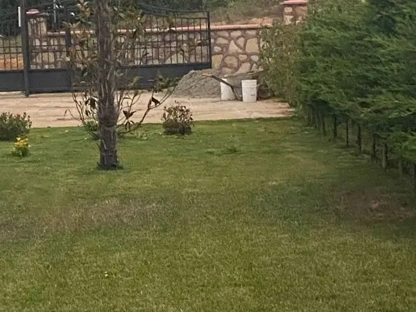 Serdivan Peyzaj Firması
